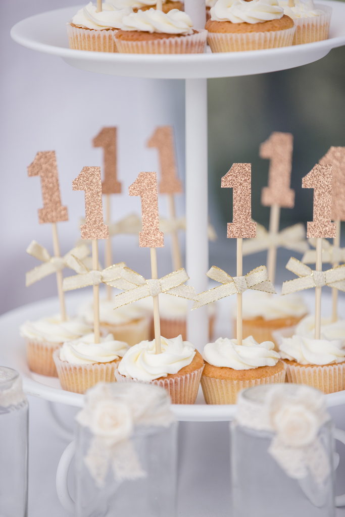 photographe famille oise picardie smash the cake 1 an bébé